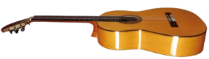 Mi Guitarra